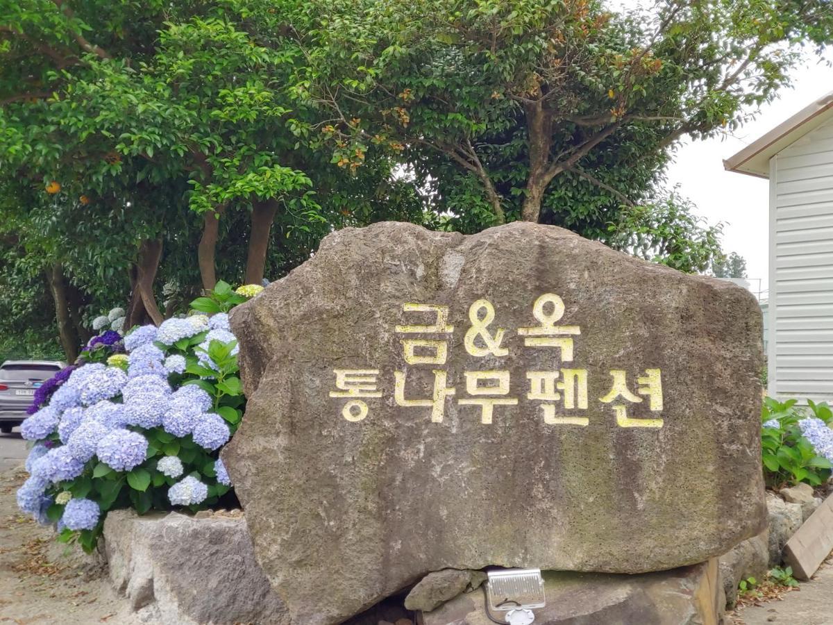 금옥 독채통나무 펜션 서귀포 외부 사진